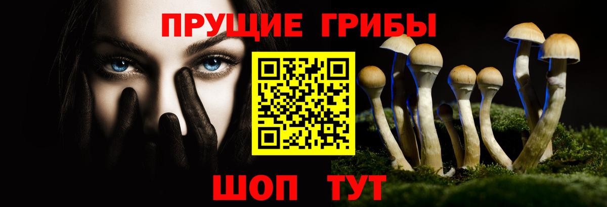 Галлюциногенные грибы MAGIC MUSHROOMS Волжский