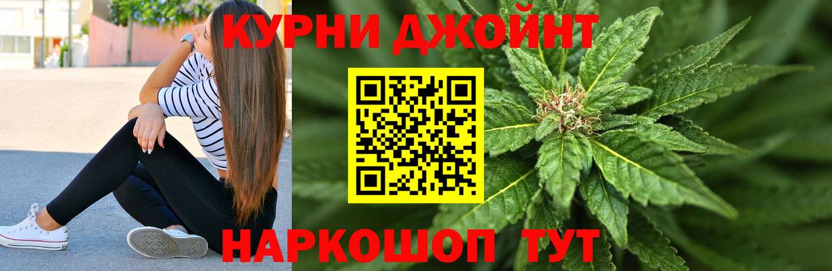 Конопля индика Волжский